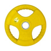 FitNord Tri Grip Color Levypaino 15 kg 1