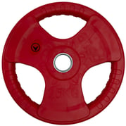 FitNord Tri Grip Color Levypaino 25 kg 1