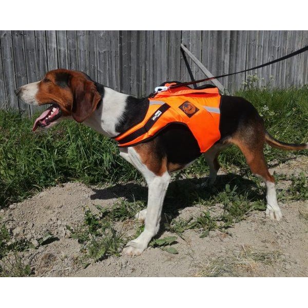 Kardog JEHU – kelluttava GPS-huomioliivi 1