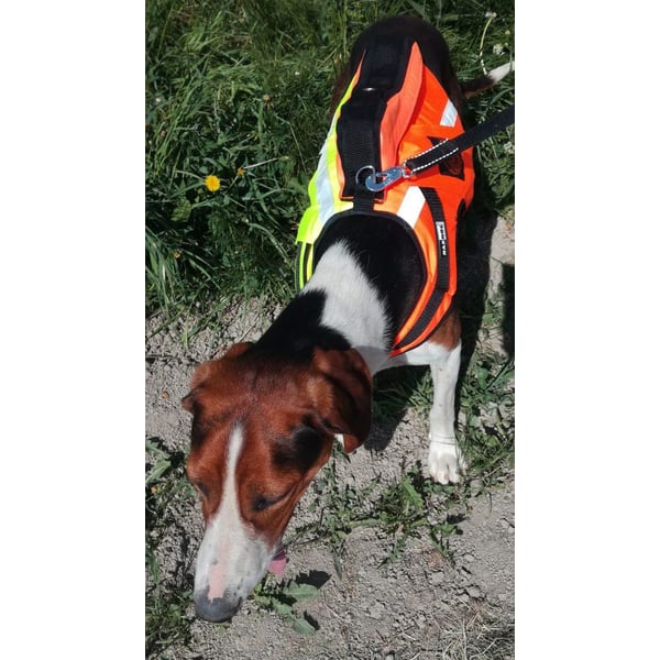 Kardog JEHU – kelluttava GPS-huomioliivi 3