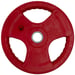 FitNord Tri Grip Color Levypaino 25 kg 1