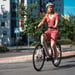 FitNord Classic 300 Sähköpyörä 2024, punainen (489,6 Wh akku) 3